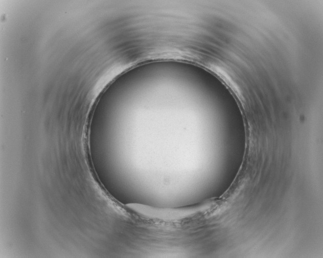 X0000088900901200706291501