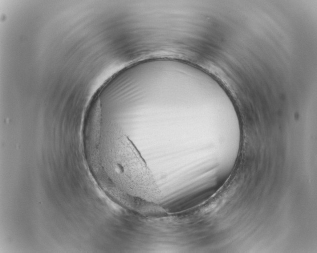 X0000088900902200706291501