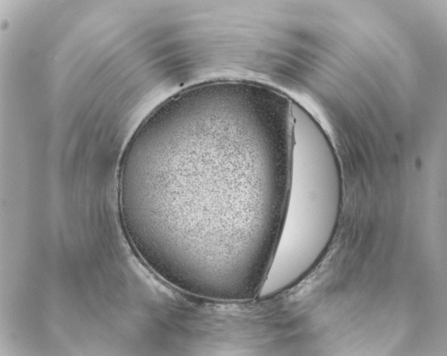 X0000088900903200706291501