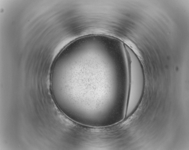 X0000088900904200706291501