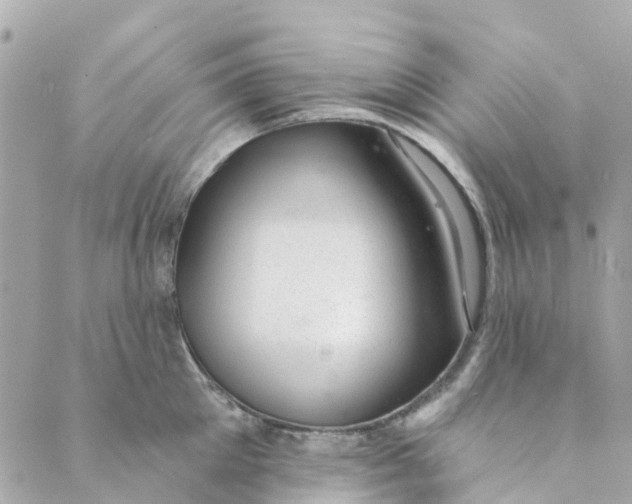 X0000088900905200706291501