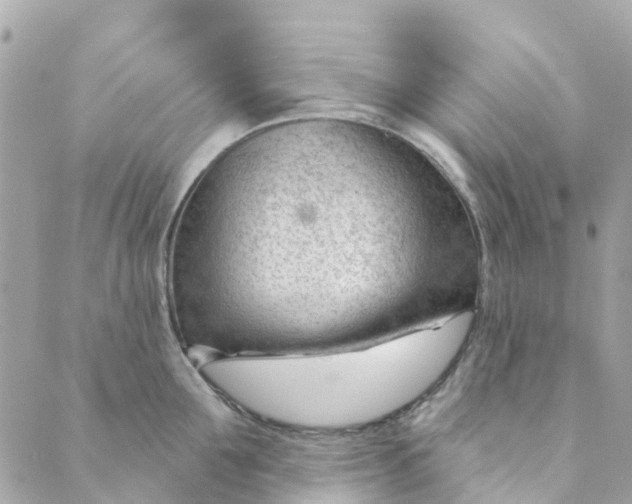 X0000088900907200706291501