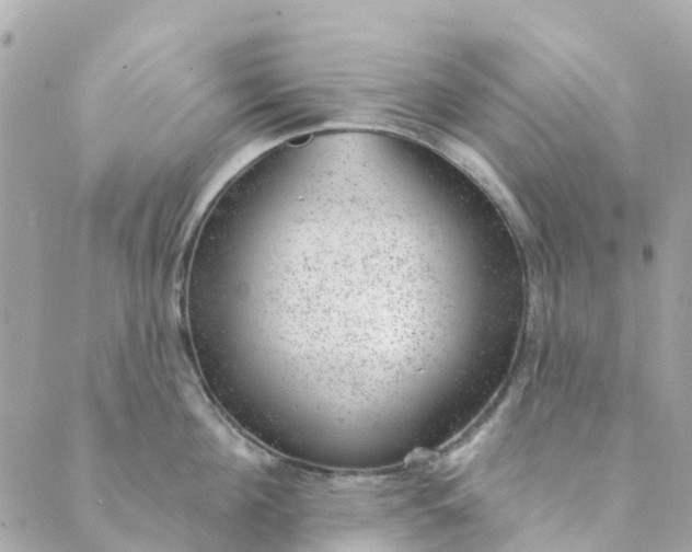 X0000088900908200706291501