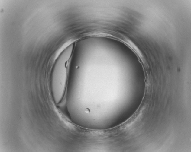 X0000088900909200706291501