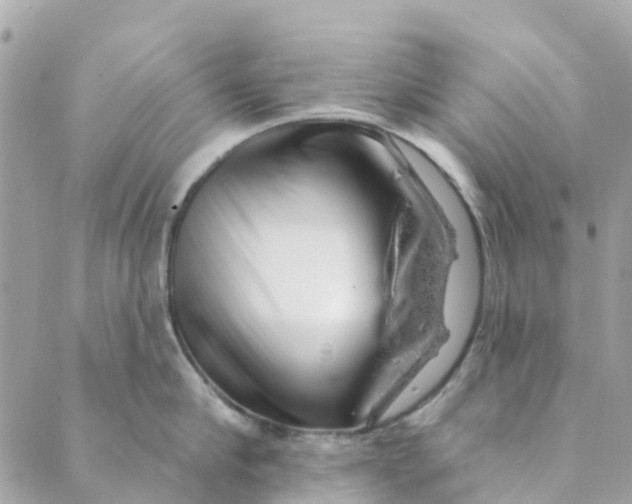 X0000088900910200706291501