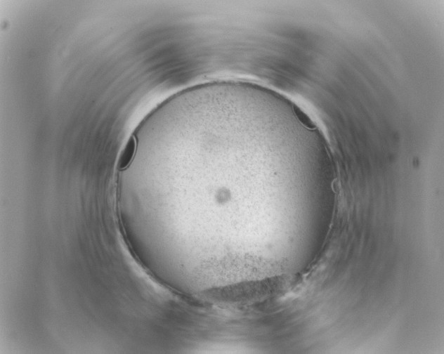 X0000088900911200706291501