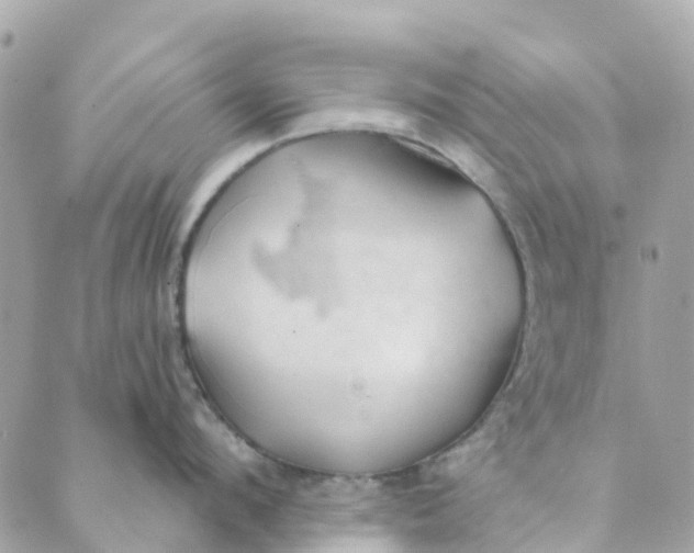 X0000088900912200706291501