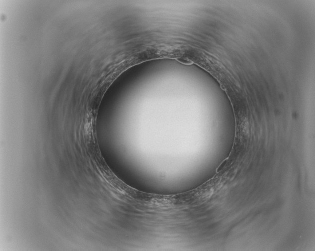 X0000088900914200706291501