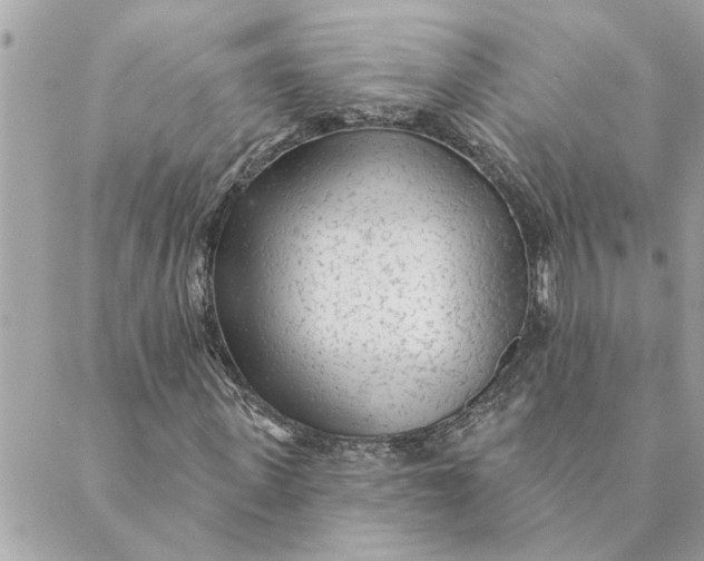 X0000088900915200706291501