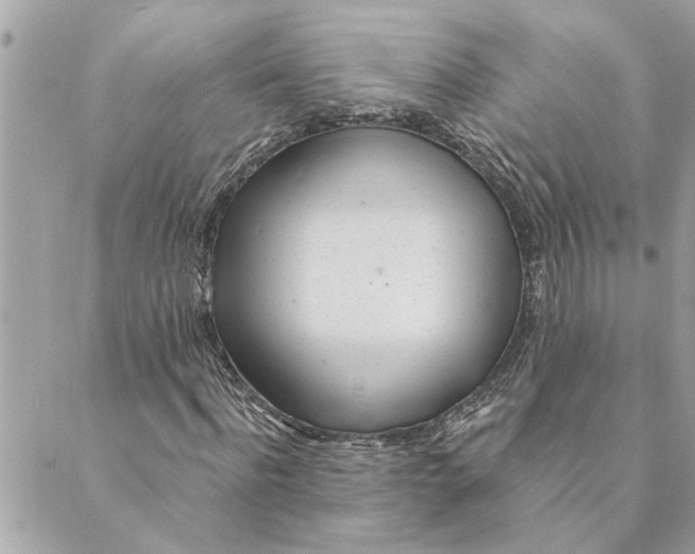 X0000088900916200706291501