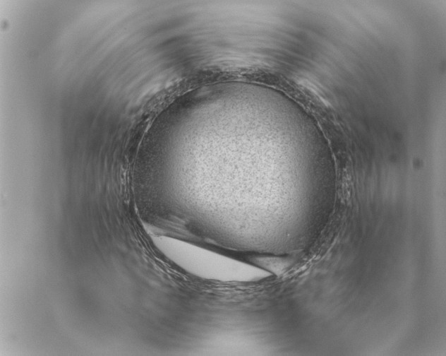 X0000088900917200706291501