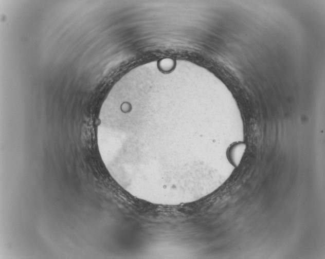 X0000088900918200706291501