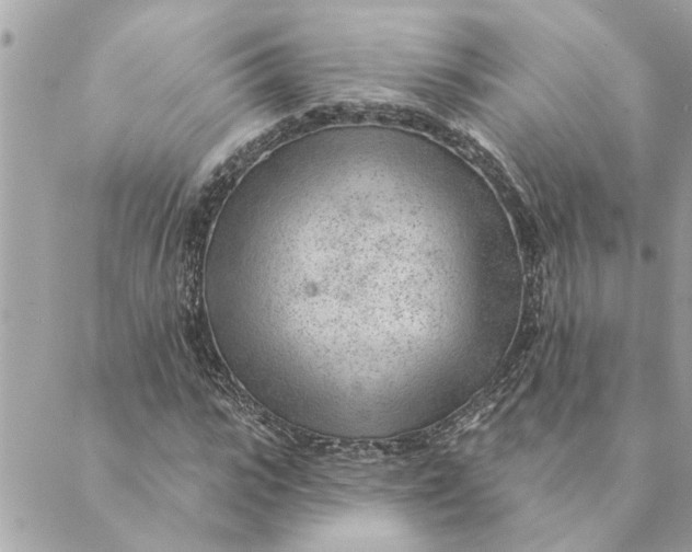 X0000088900919200706291501