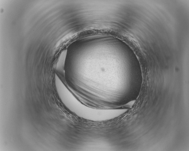 X0000088900920200706291501