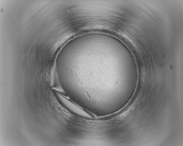 X0000088900921200706291501