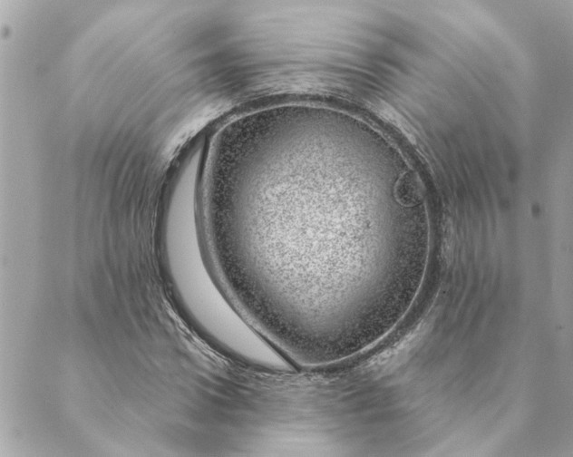 X0000088900922200706291501