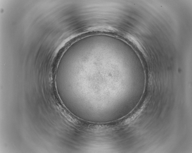 X0000088900923200706291501