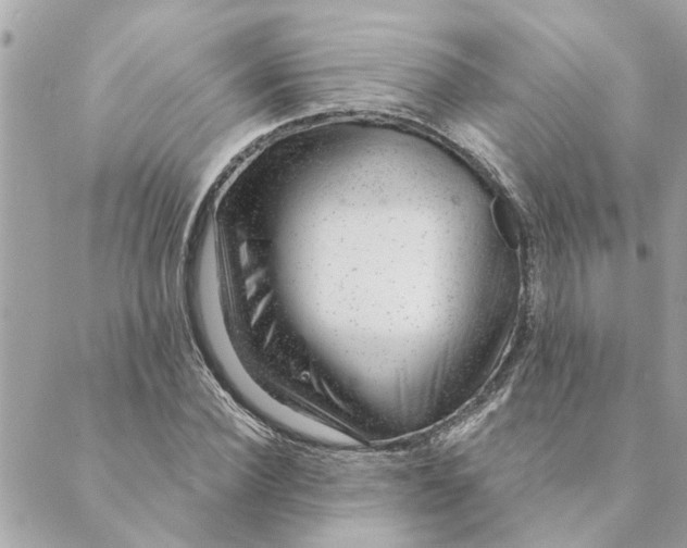 X0000088900924200706291501