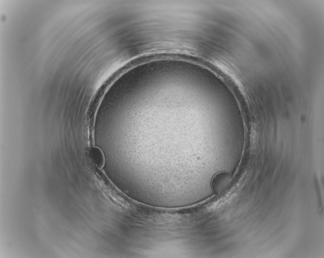 X0000088900925200706291501