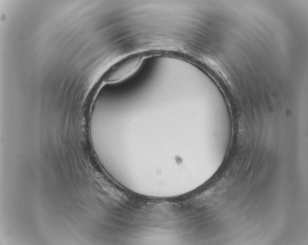 X0000088900926200706291501