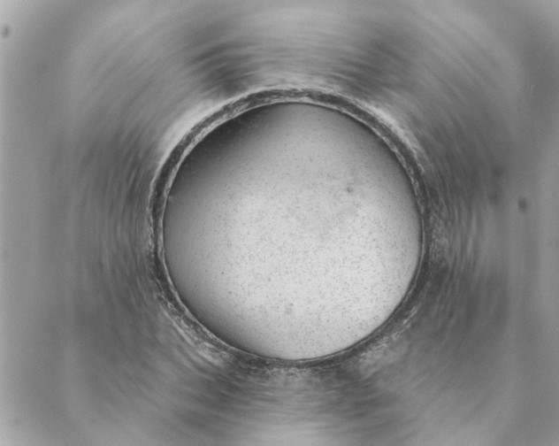 X0000088900927200706291501