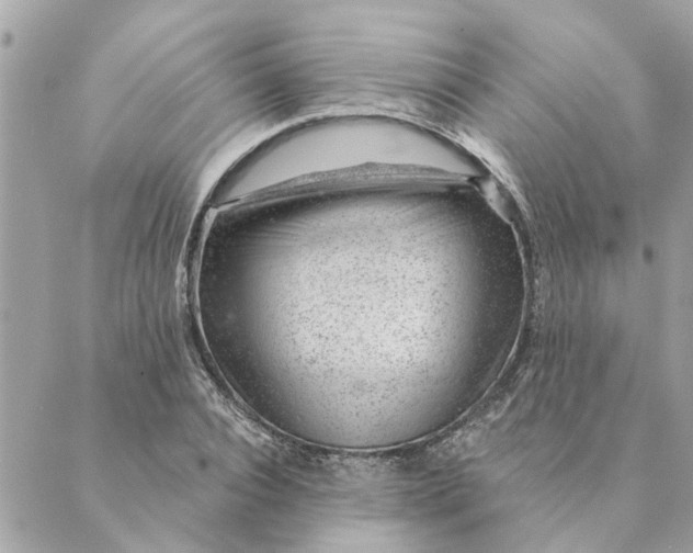 X0000088900928200706291501