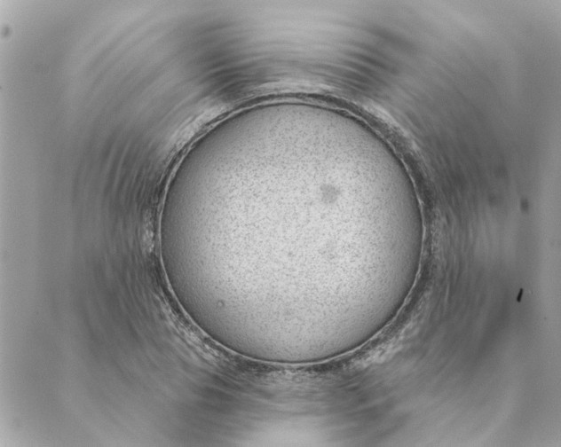 X0000088900929200706291501