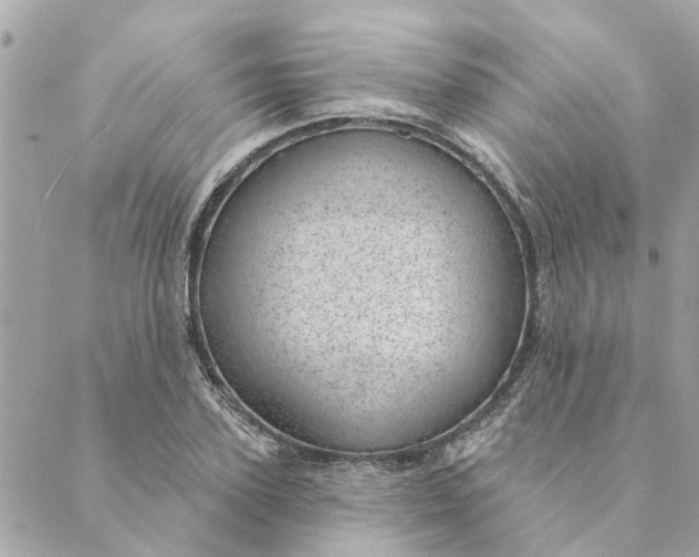 X0000088900931200706291501