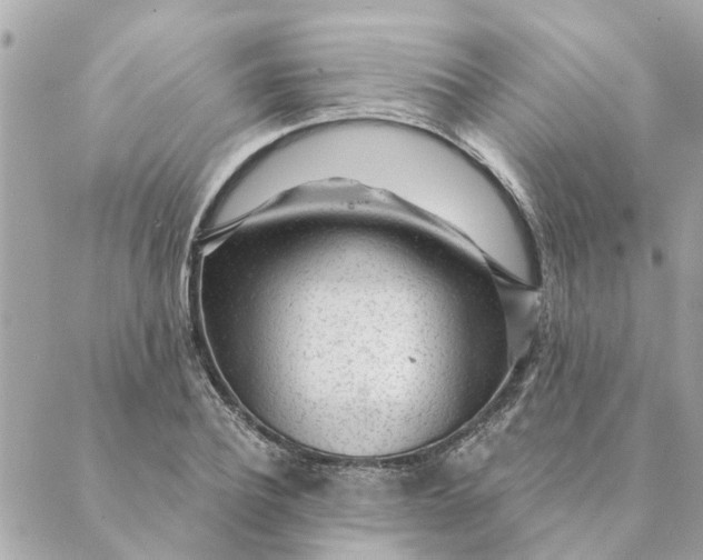 X0000088900932200706291501