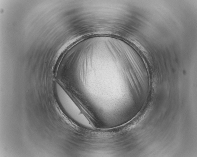 X0000088900933200706291501