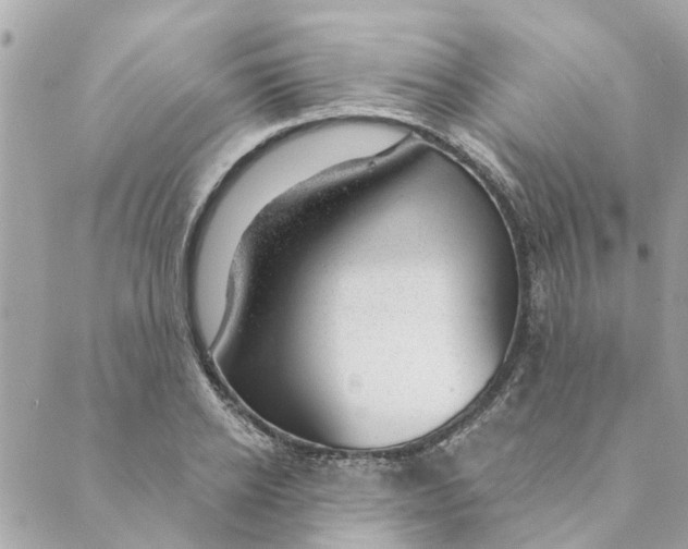 X0000088900934200706291501