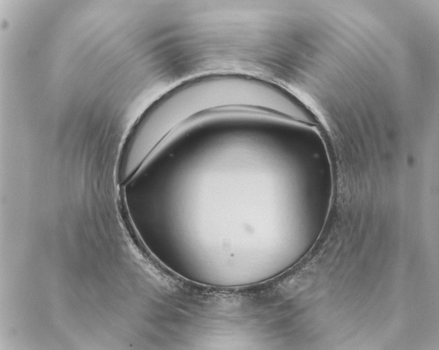 X0000088900935200706291501