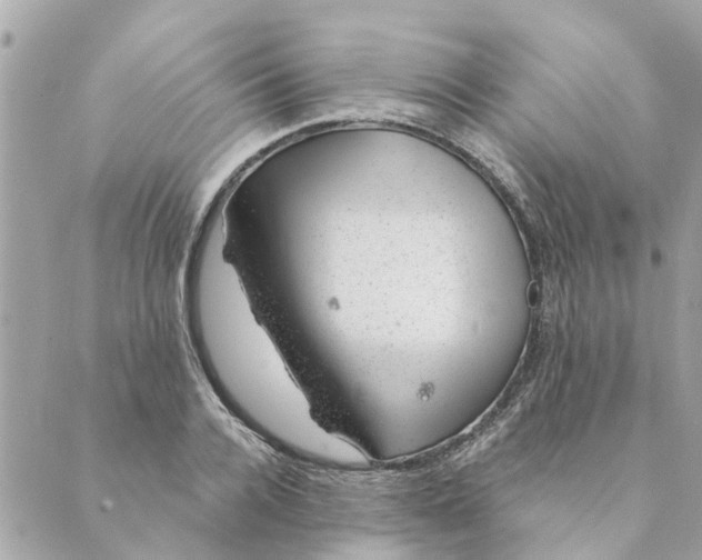 X0000088900936200706291501