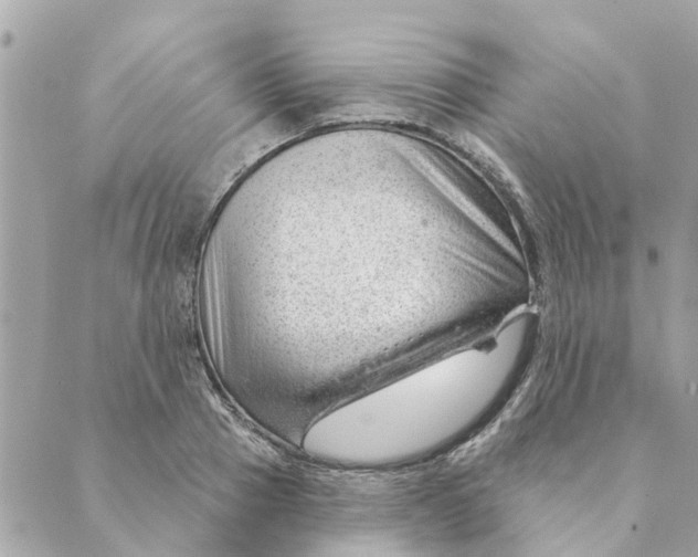 X0000088900937200706291501