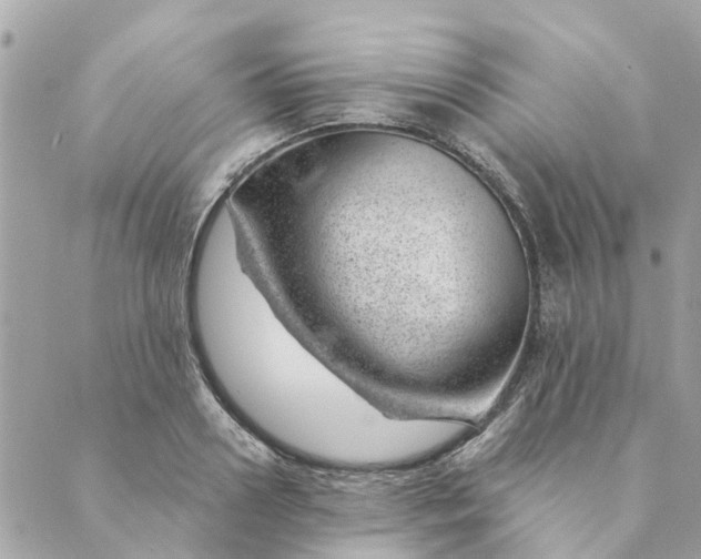 X0000088900938200706291501