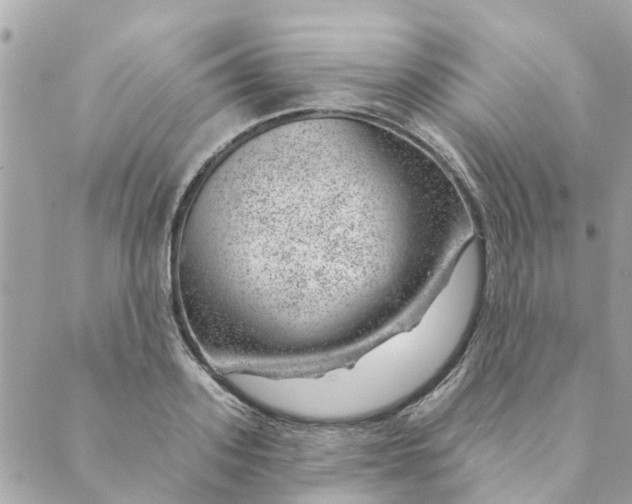 X0000088900939200706291501