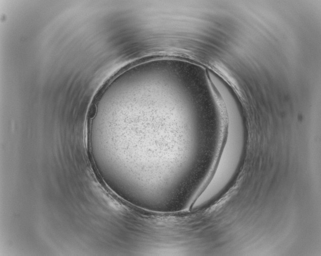 X0000088900940200706291501