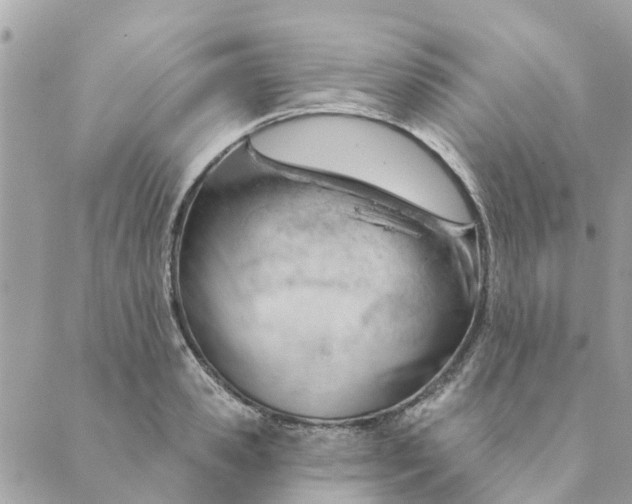 X0000088900941200706291501