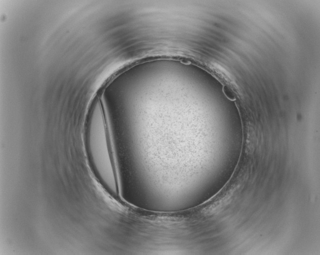 X0000088900942200706291501