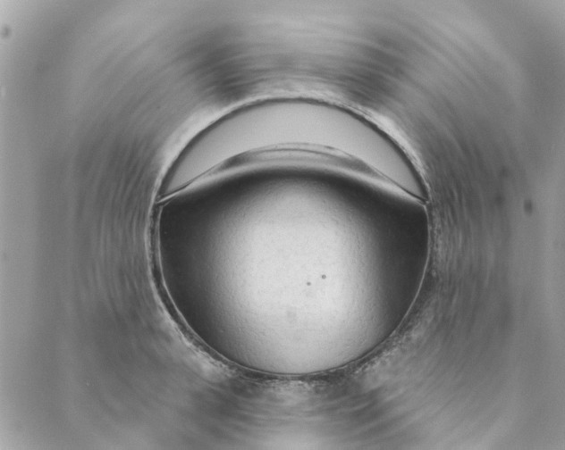 X0000088900943200706291501