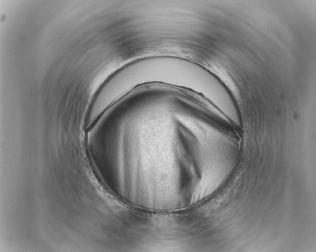 X0000088900944200706291501