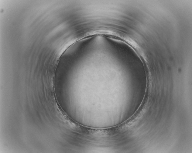 X0000088900945200706291501