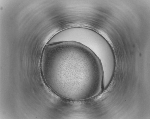 X0000088900946200706291501