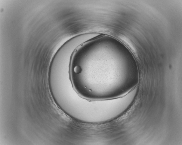 X0000088900948200706291501