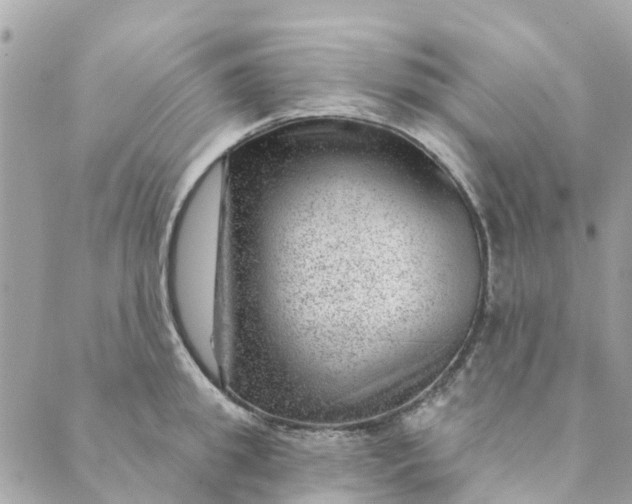 X0000088900949200706291501