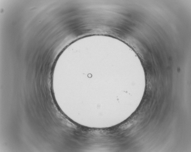 X0000088900950200706291501