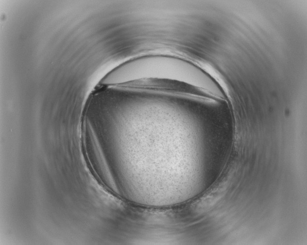 X0000088900951200706291501