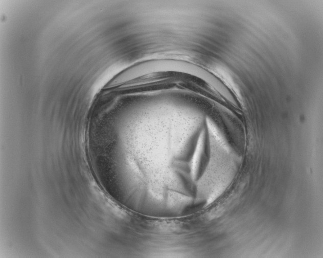 X0000088900952200706291501