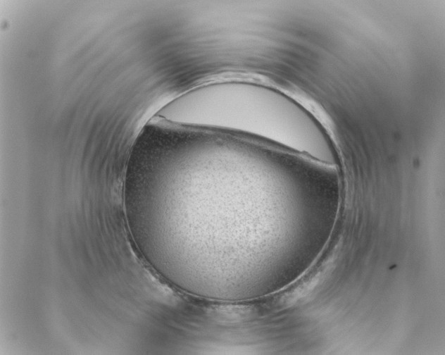 X0000088900953200706291501