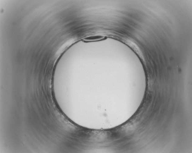 X0000088900954200706291501